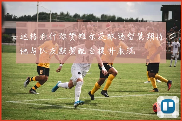 达格利什称赞维尔茨球场智慧期待他与队友默契配合提升表现