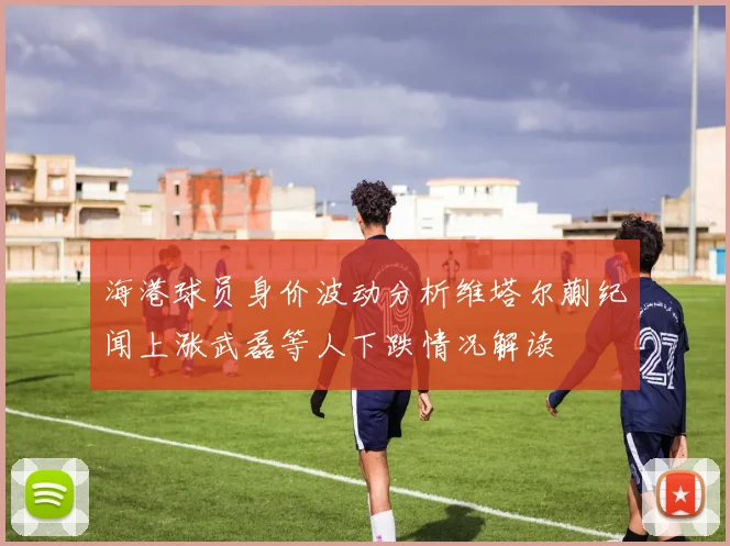 海港球员身价波动分析维塔尔蒯纪闻上涨武磊等人下跌情况解读