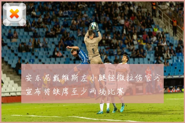 安东尼戴维斯左小腿轻微拉伤官方宣布将缺席至少两场比赛